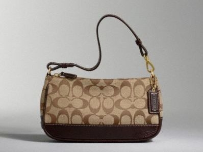 How to Authenticate a Coach Sig Demipouch Handbag